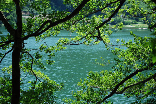 Caslano - Ticino