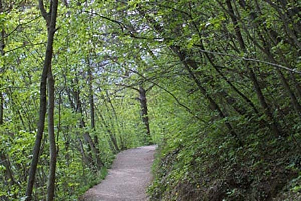 Caslano - Ticino